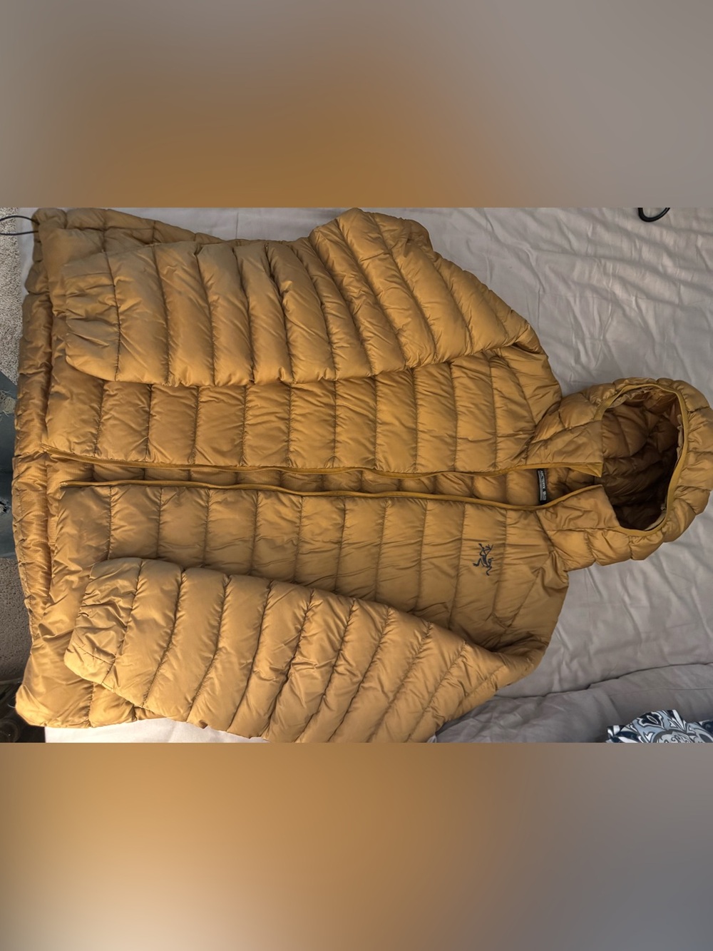 Arc'teryx Men's Hooded Puffer Jacket